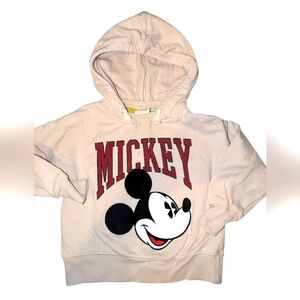 💟10/20$ Zara hoodie 6Y